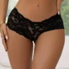 Culotte dentelle florale Ambrosia (noir, vue de face) Culotte dentelle florale Ambrosia