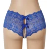 Culotte dentelle entrejambe ouvert et perles bleu (5) Culotte dentelle entrejambe ouvert et perles