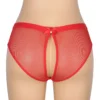 Culotte en résille dos ouvert et bijou rouge (4) Culotte en résille dos ouvert et bijou
