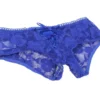 Culotte fendue à lacets en dentelle bleu (3) Culotte fendue à lacets en dentelle