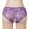 Culotte fendue à lacets en dentelle violet (5) Culotte fendue à lacets en dentelle