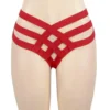 Culotte sexy à lanières croisées rouge (2) Culotte sexy à lanières croisées