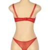 Ensemble lingerie rouge bijou cœur et chaînes (4) Ensemble lingerie rouge bijou cœur et chaînes