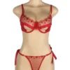 Ensemble lingerie rouge cœurs et transparence (2) Ensemble lingerie rouge cœurs et transparence
