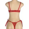 Ensemble lingerie rouge cœurs et transparence (3) Ensemble lingerie rouge cœurs et transparence