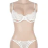 Ensemble lingerie sexy blanc en dentelle (2) Ensemble lingerie sexy blanc en dentelle