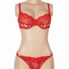 Ensemble lingerie sexy rouge en dentelle (2) Ensemble lingerie sexy rouge en dentelle