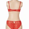 Ensemble lingerie sexy rouge en dentelle (3) Ensemble lingerie sexy rouge en dentelle