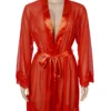Déshabillé rouge transparent (3) Déshabillé rouge transparent