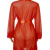 Déshabillé rouge transparent (4) Déshabillé rouge transparent