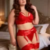 Ensemble lingerie rouge à porte-jarretelles et jarretières (1) Ensemble lingerie rouge à porte-jarretelles et jarretières