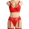 Ensemble lingerie rouge à porte-jarretelles et jarretières (5) Ensemble lingerie rouge à porte-jarretelles et jarretières