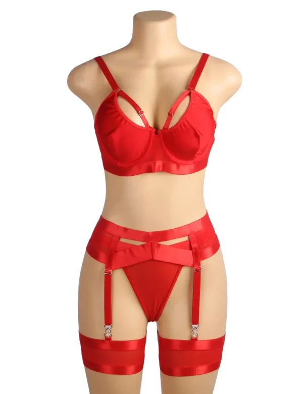 Ensemble lingerie rouge à porte-jarretelles et jarretières (5) Ensemble lingerie rouge à porte-jarretelles et jarretières