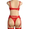 Ensemble lingerie rouge à porte-jarretelles et jarretières (6) Ensemble lingerie rouge à porte-jarretelles et jarretières
