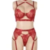 Ensemble lingerie rouge avec harnais et porte-jarretelles (2) Ensemble lingerie rouge avec harnais et porte-jarretelles
