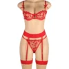 Ensemble lingerie rouge transparent avec porte-jarretelles (4) Ensemble lingerie rouge transparent avec porte-jarretelles