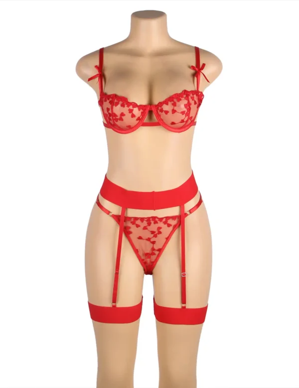 Ensemble lingerie rouge transparent avec porte-jarretelles (4) Ensemble lingerie rouge transparent avec porte-jarretelles