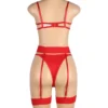Ensemble lingerie rouge transparent avec porte-jarretelles (5) Ensemble lingerie rouge transparent avec porte-jarretelles