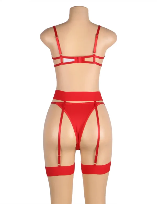 Ensemble lingerie rouge transparent avec porte-jarretelles (5) Ensemble lingerie rouge transparent avec porte-jarretelles