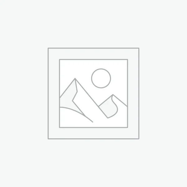 woocommerce-placeholder Gaine porte-jarretelles rétro brodée 6 attaches